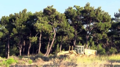 orman yangini - Ezine'de orman yangını (3) -  ÇANAKKALE Videosu