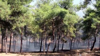 agacli - Hatay'da mesire alanında yangın Videosu