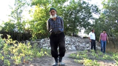 yasli adam -  Hiç evlenmedi, 30 yıldır dağda tek başına yaşıyor  Videosu