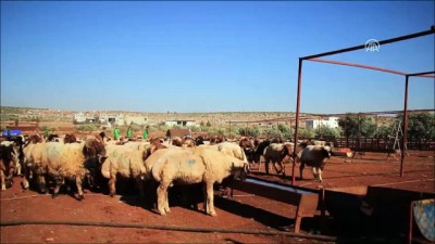 hayirseverler - İHH Suriyeli ailelerin yüzünü güldürecek  Videosu