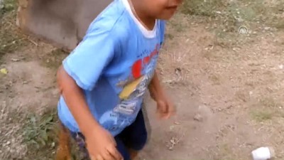 av kopegi - Küçük çocukla köpeğin oyunu - KAHRAMANMARAŞ  Videosu