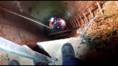 gezin - Muğla'da kuyuya düşen at eğiticisi kurtarıldı Videosu