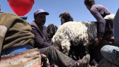 tedavi sureci - Tek bacakla 20 yıldır çobanlık yapıyor - BİTLİS  Videosu