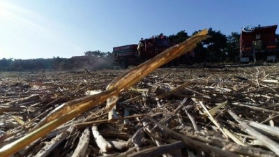 tarim arazisi -  Çanakkale'nin yanan ciğerleri havadan görüntülendi  Videosu