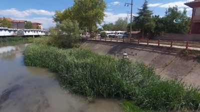 salar -  Haşerelere karşı 'biodrone' ile ilaçlama Videosu