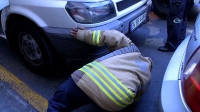 kurtarma operasyonu -  Havalimanı’nda kedi kurtarma operasyonu  Videosu