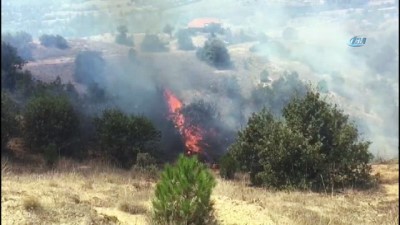 tarim arazisi -  Selendi'de orman yangını Videosu
