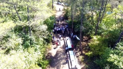 biyoloji -  Sinop’ta 2 bin sülün doğaya salındı Videosu