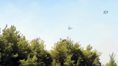 orman yangini -  Alanya'da orman yangını  Videosu