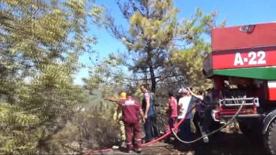 trol -  Alanya’daki orman yangını kontrol altına alındı Videosu