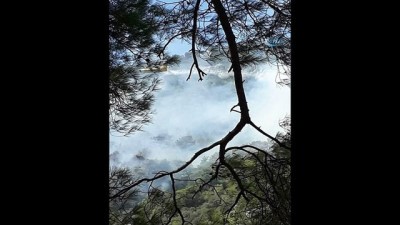 orman yangini -  Antalya'da orman yangını  Videosu