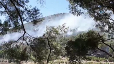 orman yangini -  Antalya'da orman yangını  Videosu