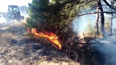 Göynük'de orman yangını - BOLU