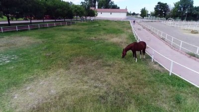 bag kur - Milyonluk atların fedakar bakıcısı 'Oktay çavuş' (2) - Drone görüntüsü - MALATYA  Videosu