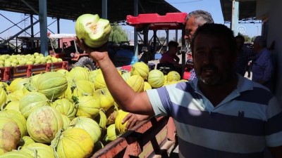 Çankırı kavununda rekolte ve fiyat üreticiyi memnun etti