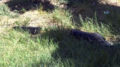 silahli kavga -  Sivas'ta silahlı kavga: 1 yaralı  Videosu