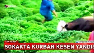 Sokakta kurban kesen yandı