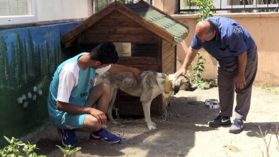 hayat hikayesi - İşkence gören köpek engellilerin 'Dost'u oldu - VAN  Videosu