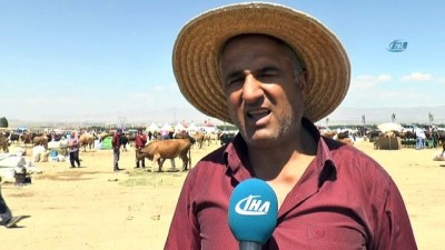 hayvan pazari -  Kaçan kurbanlık dana trafiğe daldı  Videosu