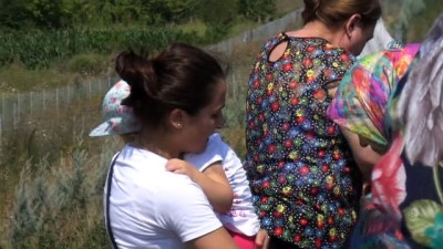 emniyet seridi -  Rahatsızlanan çocuk için emniyet şeridinde duran yolcu otobüsüne kamyon çarptı: 4 yaralı Videosu