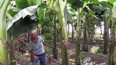 tron - Serada buhar makinesiyle muz ürettiler - AYDIN  Videosu