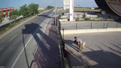Bekçi köpeğinin çalınması güvenlik kamerasında - KONYA
