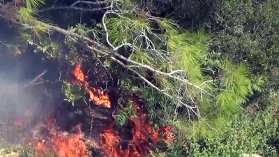makilik alan - Erdemli'de orman yangını - MERSİN Videosu