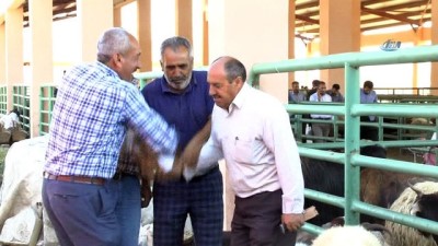  Hayvan pazarında kurbanlık alışverişleri devam ediyor 