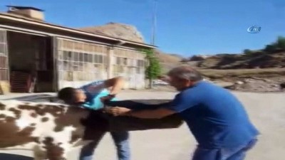  Kafası çöp kutusuna sıkışan kurbanlık böyle kurtarıldı 