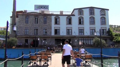zeytin agaci - Ayvalık'ın UNESCO yolundaki 'endüstriyel peyzaj'ı turizmi uçuracak - BALIKESİR  Videosu