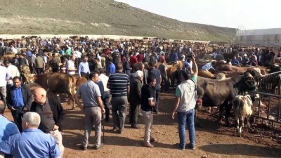 la paz - Doğu Anadolu'da kurban pazarlarında hareketlilik - KARS  Videosu