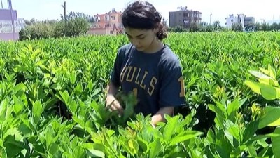 dunya sampiyonu - Fidan bahçesinden dünya şampiyonluğuna  Videosu