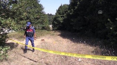 sebze hali - Yalova'da cinayet - YALOVA  Videosu