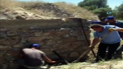  Zifte saplanan yavrular ölmek üzereyken kurtarıldı 