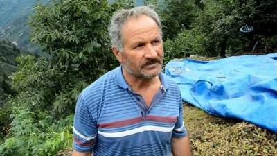 asiri yagis -  Ordu’da sağanak yağış zarara yol açtı  Videosu