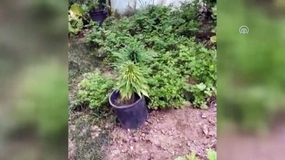 funye - Uyuşturucu operasyonu - BARTIN Videosu