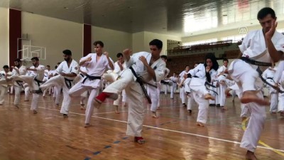 isaf - Wushu Budokaido Kyokushin Milli Takımı kampı sona erdi - HATAY  Videosu
