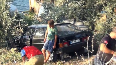 zeytin agaci -  Alkollü sürücü kullandığı otomobiliyle yol kenarındaki zeytin ağacının üstüne uçtu Videosu
