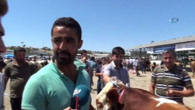 hayvan pazari -  Hayvan pazarında arefe yoğunluğu  Videosu