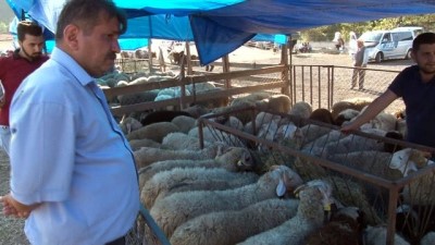 arefe gunu -  Hayvan pazarında bayram öncesi durgunluk hakim Videosu
