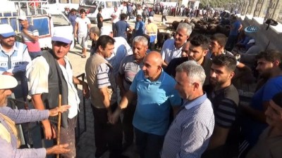 salar -  Kurban Pazarında hareketlilik  Videosu