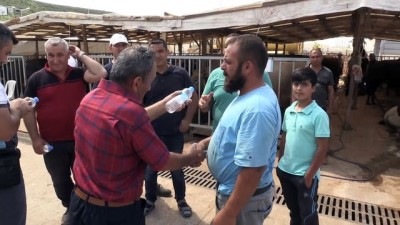 emekli ogretmen - Kurban pazarlarında arefe günü hareketliliği - KOCAELİ Videosu