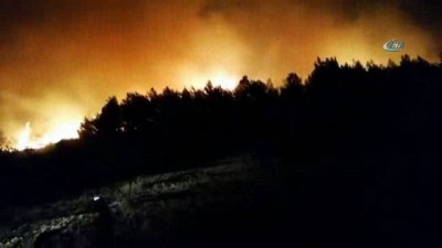 ormanli -  Manisa’da Orman Yangını  Videosu