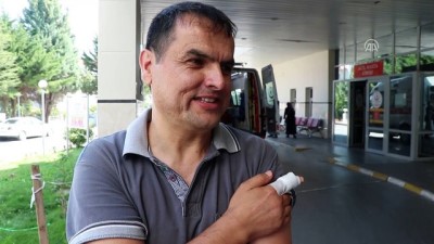 saglik personeli - 'Acemi kasaplar' hastanelik oldu - BOLU  Videosu