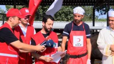 hayirseverler -  Başkan Erdoğan’ın vekalet kurbanı Sakarya’da kesildi  Videosu