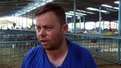 la paz -  Canlı hayvan pazarında hareketlilik devam ediyor Videosu