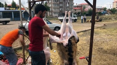kirikli -  Kars’ta kurbanlıklar elde kaldı  Videosu