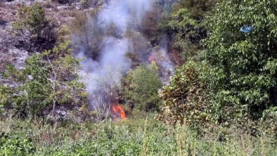 ormanli -  Kastamonu’da orman yangını Videosu