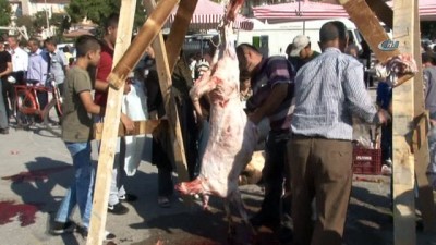 kurban kesimi -  Konya’da Kurban Bayramı manzaraları  Videosu