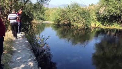atik su aritma tesisi - Manisa'da Karakurt Çayı'nda toplu balık ölümleri Videosu